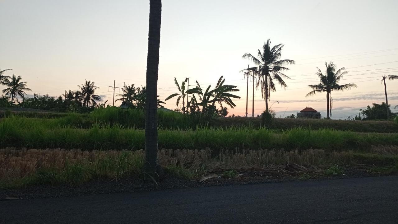 Neny'S Homestay Saba Exterior foto